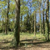 PARC FLORAL, VILLE DE PARIS @ARP ASTRANCE_2025 (71).JPEG