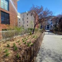 RUE MONTIGNY, VILLE DE PANTIN, @ARP ASTRANCE 2025.jpg