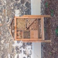 RUE MONTIGNY, VILLE DE PANTIN, @ARP ASTRANCE, 2025.jpg