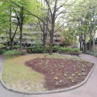 SS ALLERAY ST AMAND, VILLE DE PARIS @ARP ASTRANCE_2025 (102).jpg