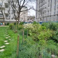 SS COULEE VERTE 14EME, VILLE DE PARIS @ARP ASTRANCE_2025 (104).jpg