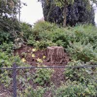 SS COULEE VERTE 14EME, VILLE DE PARIS @ARP ASTRANCE_2025 (49)_0.jpg