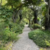 Menton MNHN