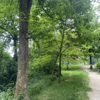 PARC DE BRIMBORION 2025