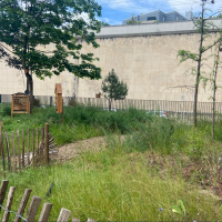 HOPITAL STE ANNE