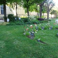 JARDIN DE LA MAIRIE 2025