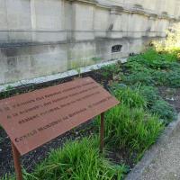 JARDIN DE LA MAIRIE 2025