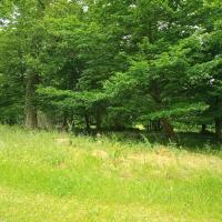 PARC CIMETIERE RIVE DROITE 2025