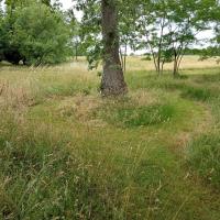 PARC CIMETIERE RIVE DROITE 2025