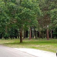 PARC CIMETIERE RIVE GAUCHE 2025