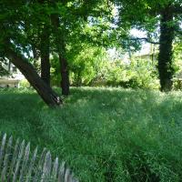 PARC DE LUSSY