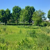 PARC ORLY RUNGIS 2025
