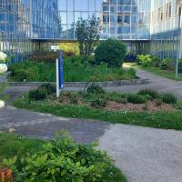 PARC ORLY RUNGIS 2025