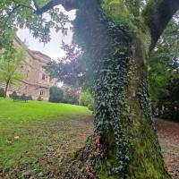 Gestion écologique des arbres