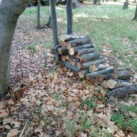 Zone refuges, bûches empilées