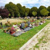 Tombes fleuries, prairie et boisement