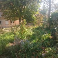 Jardin partagé du site