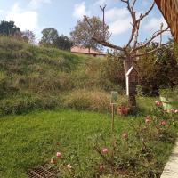 Prairie, gîte écologique, liaison végétal