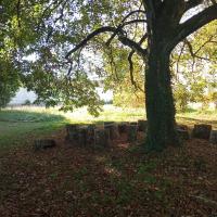 Secteur classe dehors avec du mobilier bois brut