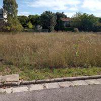 Prairie avec bande de propreté