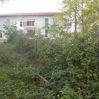 Végétalisation de séparation physique