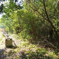 Bosquet à proximité des railles de support des ruches