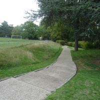 visuel d'une zone d'herbe haute