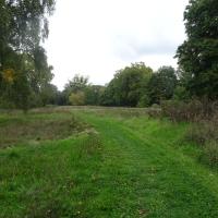 Visuel global, ancien golf : prairie