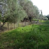 zone protégée par une ganivelle, herbe haute