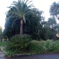 Entrée du parc : massif de vivaces, arbres, pelouse