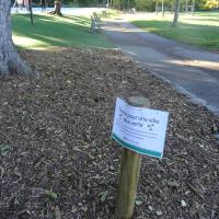 panneau après le retrait de la pelouse synthétique