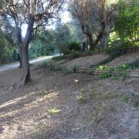 Création de fascines et mise en place de broyat