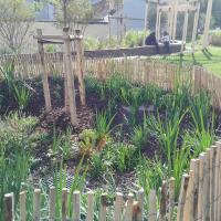 Zone d'infiltration d'eau