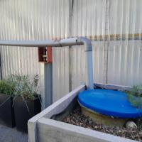 Système de récupération des eaux de toiture