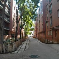 Allée arborée, plantations de vivaces protégées par des ganivelles