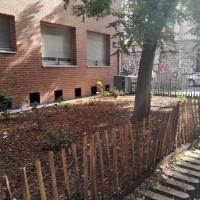 Massifs de vivaces et sol paillé