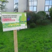 communication sur site
