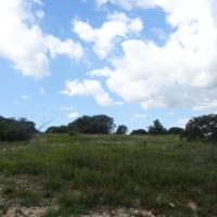 La grande prairie du site