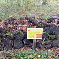 Refuge pour la biodiversité