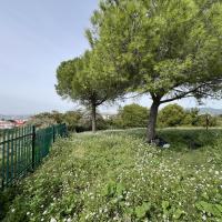 PARC DE FONT OBSCURE 2025