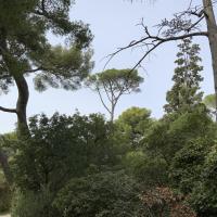 PARC DE FONT OBSCURE 2025