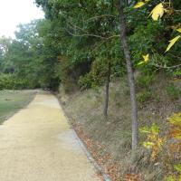 vue globale : cheminement, prairie et boisement