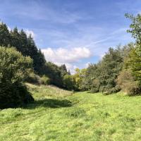 PARC DE PINELON ALTICIME 2025