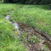 PARC DE PINELON 2025