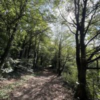 PARC DE PINELON 2025