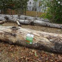 Grumes et panneau pédagogique