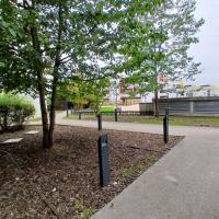 Des espaces paillés, vidés de leurs plantations