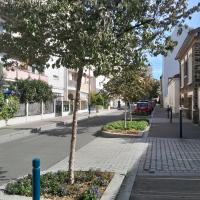 Alignement d'arbres de la rue Rouget de l'Isle