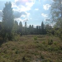 Bassin sec sur site