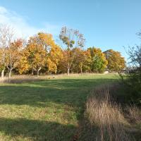site